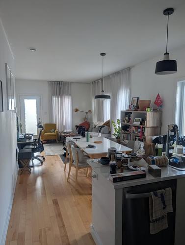1 bedroom apartment for rent in Montreal - Rosemont–La Petite-Patrie — photo 2