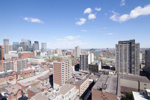 1 bedroom apartment for rent in Montreal - Ville-Marie — photo 13