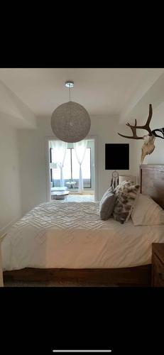 1 bedroom apartment for rent in Québec - Sainte-Foy–Sillery–Cap-Rouge — photo 6