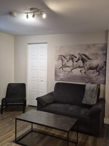 1 bedroom apartment for rent in Gatineau — photo 10