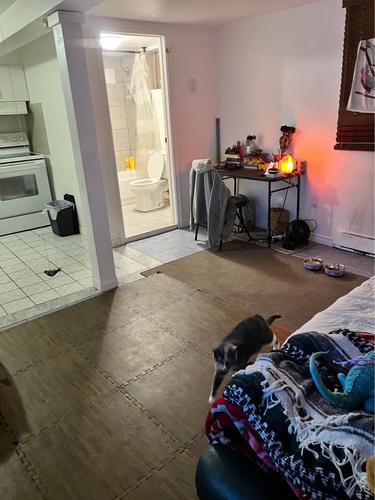 1 bedroom apartment for rent in Gatineau — photo 4