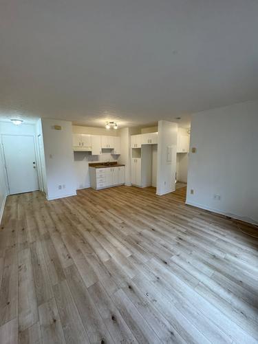 1 bedroom apartment for rent in Sherbrooke — photo 3