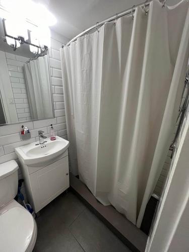 Appartement de 1 chambre à louer à Montreal - Le Plateau-Mont-Royal — photo 4
