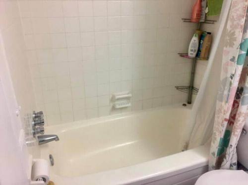 Appartement de 1 chambre à louer à Québec - Sainte-Foy–Sillery–Cap-Rouge — photo 6