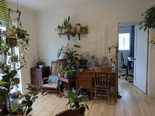 2 bedrooms apartment for rent in Sherbrooke — photo 3