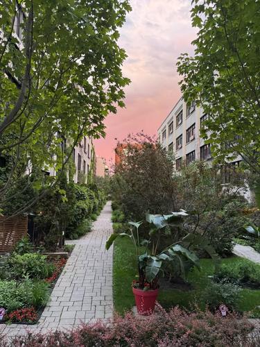 1 bedroom apartment for rent in Montreal - Le Sud-Ouest — photo 14