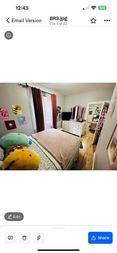 Appartement de 1 chambre à louer à Montreal - Le Plateau-Mont-Royal — photo 4