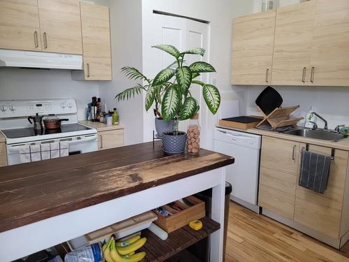 1 bedroom apartment for rent in Montreal - Le Plateau-Mont-Royal — photo 4