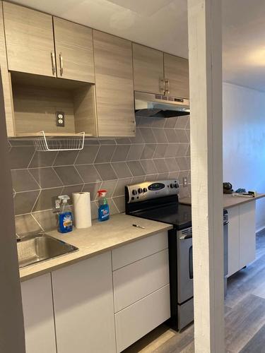 Appartement de 1 chambre à louer à Montreal - Saint-Laurent — photo 4