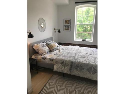 Appartement de 2 chambres à louer à Québec - La Cité-Limoilou — photo 6