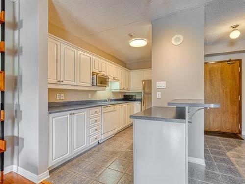 1 bedroom apartment for rent in Gatineau — photo 4