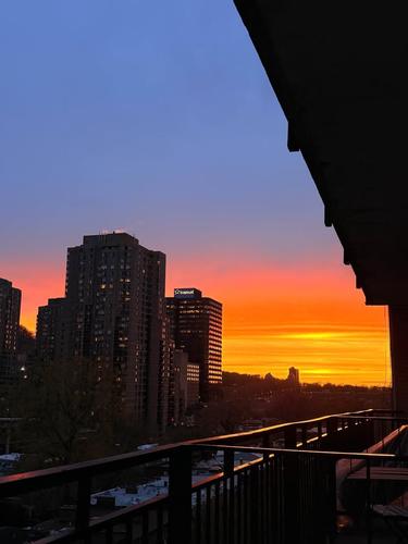 1 bedroom apartment for rent in Montreal - Le Plateau-Mont-Royal — photo 7