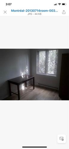 5 bedrooms apartment for rent in Montreal - Le Plateau-Mont-Royal — photo 21
