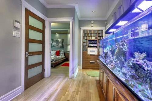 2 bedrooms apartment for rent in Montreal - Rosemont–La Petite-Patrie — photo 10