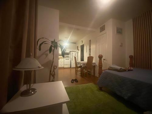 Studio à louer à Sherbrooke — photo 13