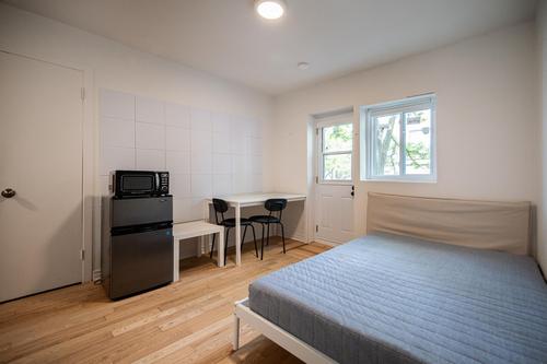 1 bedroom apartment for rent in Montreal - Le Plateau-Mont-Royal — photo 5