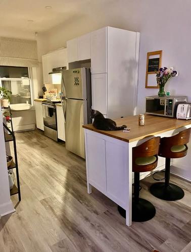 1 bedroom apartment for rent in Montreal - Rosemont–La Petite-Patrie — photo 3