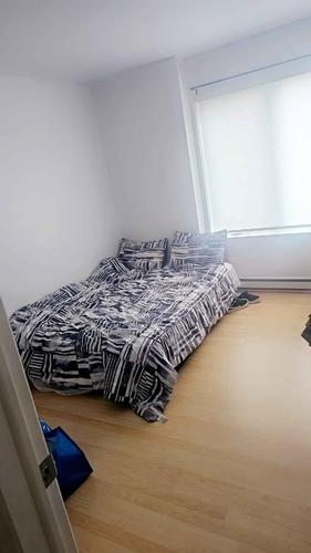 1 bedroom apartment for rent in Lévis — photo 4