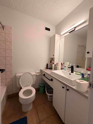 Studio à louer à Québec - Sainte-Foy–Sillery–Cap-Rouge — photo 9