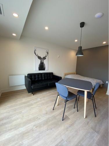Studio à louer à Montreal - Mercier–Hochelaga-Maisonneuve — photo 6