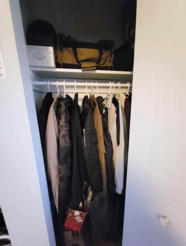 Appartement de 2 chambres à louer à Montreal - Rosemont–La Petite-Patrie — photo 10