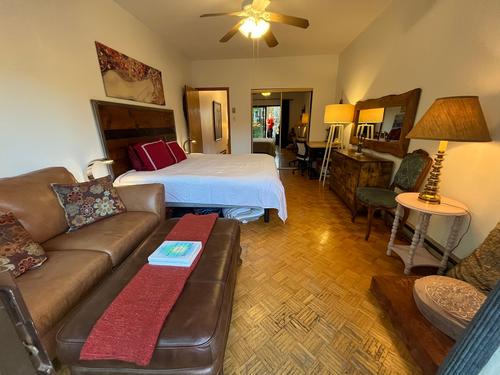 1 bedroom apartment for rent in Montreal - Le Plateau-Mont-Royal — photo 10