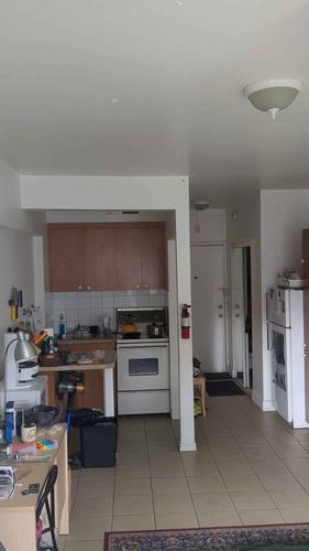 Appartement de 1 chambre à louer à Montreal - Le Plateau-Mont-Royal — photo 3