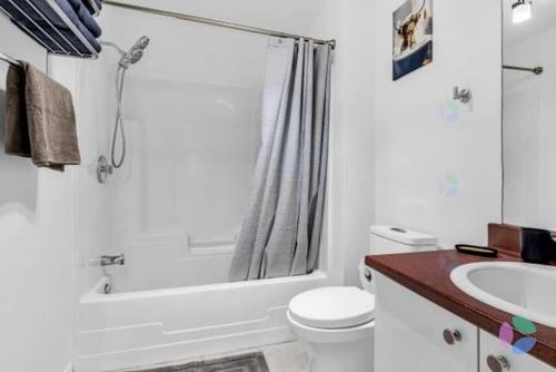 1 bedroom apartment for rent in Montreal - Rosemont–La Petite-Patrie — photo 11