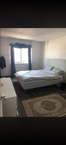 1 bedroom apartment for rent in Montreal - Le Plateau-Mont-Royal — photo 3