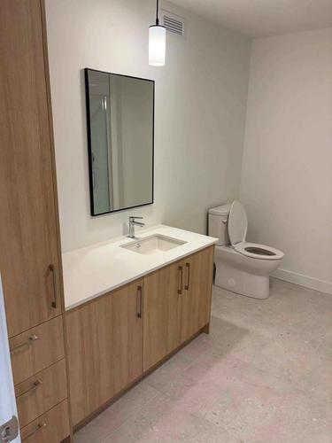 Appartement de 1 chambre à louer à Québec - Sainte-Foy–Sillery–Cap-Rouge — photo 2