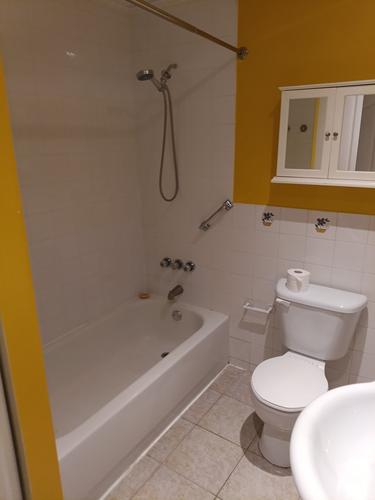 Appartement de 2 chambres à louer à Montreal - Rosemont–La Petite-Patrie — photo 11