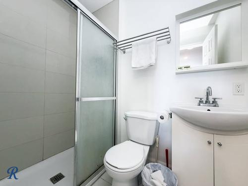 1 bedroom apartment for rent in Montreal - Le Plateau-Mont-Royal — photo 5