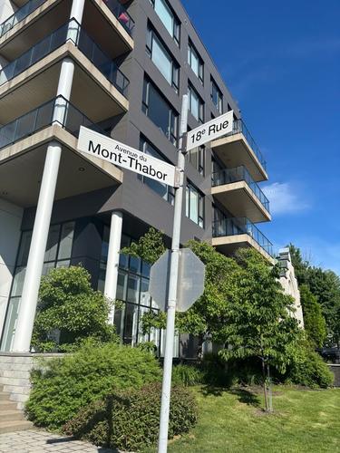 Appartement de 2 chambres à louer à Québec - La Cité-Limoilou — photo 3
