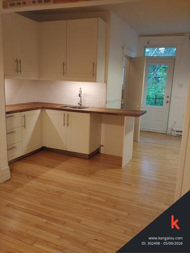 Appartement de 2 chambres à louer à Montreal - Rosemont–La Petite-Patrie — photo 18