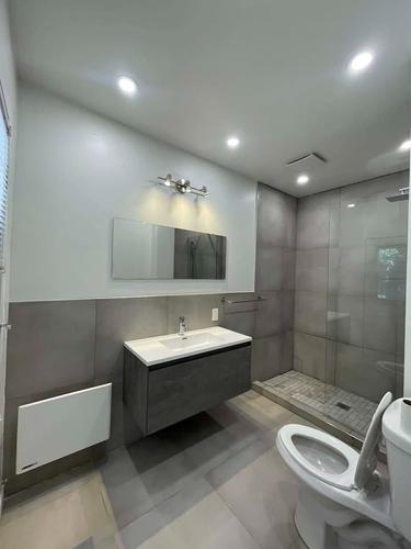 Appartement de 1 chambre à louer à Montreal - Le Plateau-Mont-Royal — photo 7
