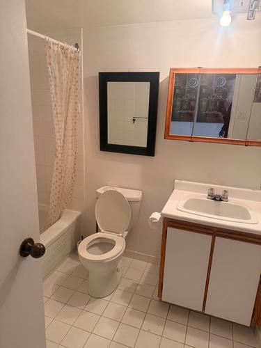 1 bedroom apartment for rent in Montreal - Saint-Laurent — photo 3