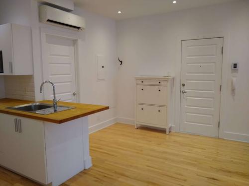 1 bedroom apartment for rent in Montreal - Le Plateau-Mont-Royal — photo 2