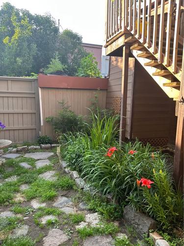 1 bedroom apartment for rent in Québec - La Cité-Limoilou — photo 7