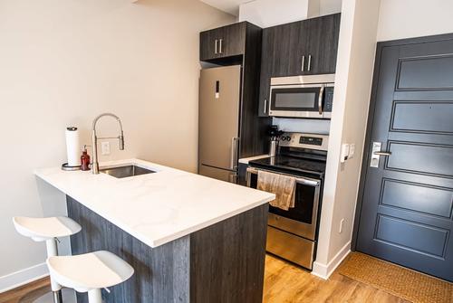 Appartement de 1 chambre à louer à Montreal - Le Plateau-Mont-Royal — photo 2