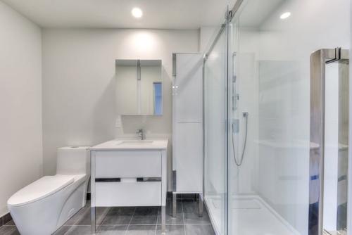 Appartement de 1 chambre à louer à Montreal - Saint-Laurent — photo 11