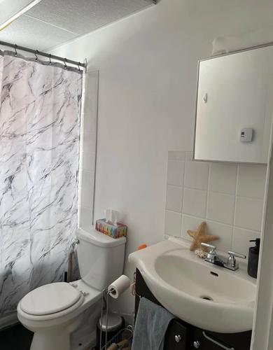 Studio for rent in Sherbrooke — photo 8