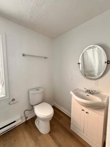 1 bedroom apartment for rent in Gatineau — photo 5