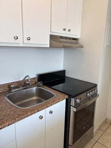 Appartement de 1 chambre à louer à Montreal - Le Plateau-Mont-Royal — photo 4
