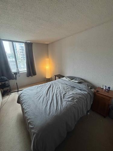 1 bedroom apartment for rent in Montreal - Le Plateau-Mont-Royal — photo 3
