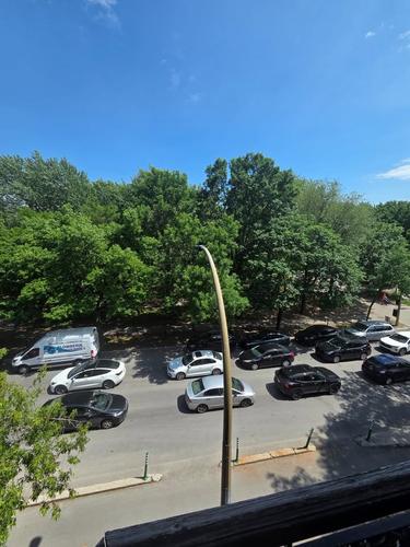 1 bedroom apartment for rent in Montreal - Le Plateau-Mont-Royal — photo 11