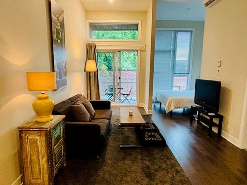 1 bedroom apartment for rent in Montreal - Le Plateau-Mont-Royal — photo 4