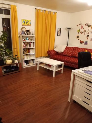 2 bedrooms apartment for rent in Québec - La Cité-Limoilou — photo 12