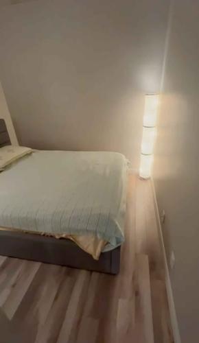 1 bedroom apartment for rent in Québec - Sainte-Foy–Sillery–Cap-Rouge — photo 6