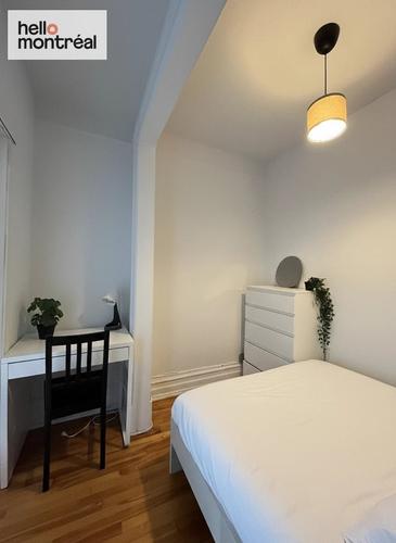 4 bedrooms apartment for rent in Montreal - Le Plateau-Mont-Royal — photo 9