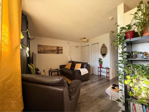 Appartement de 1 chambre à louer à Gatineau — photo 3